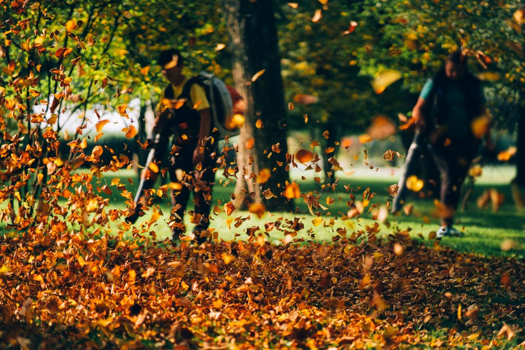 Fall Landscaping Services
