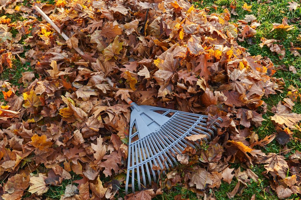 Autumn Landscaping Services