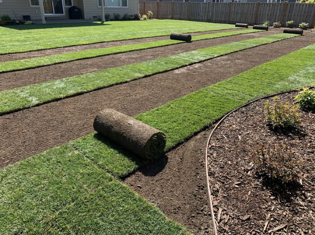 Lawn & Sod Expert