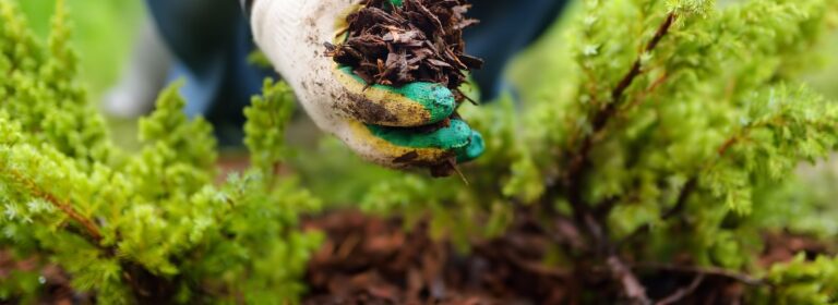 Right Mulch Can Transform Your Landscape