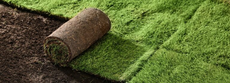 Sod Installation in Western Pennsylvania